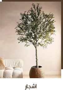 collection-img